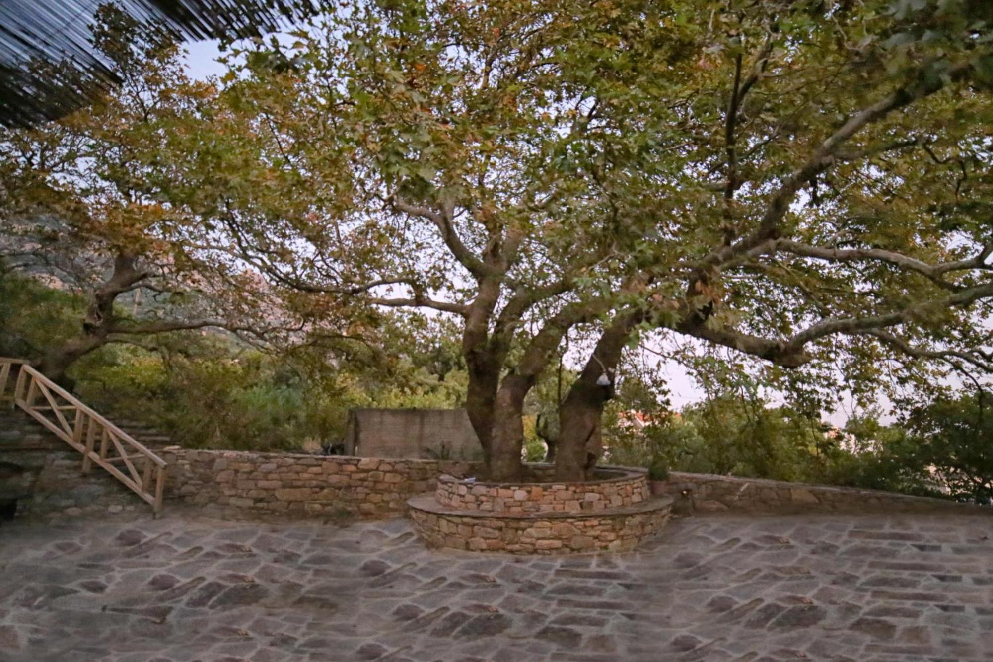 Ικαριων Γη Manganítis Exterior foto