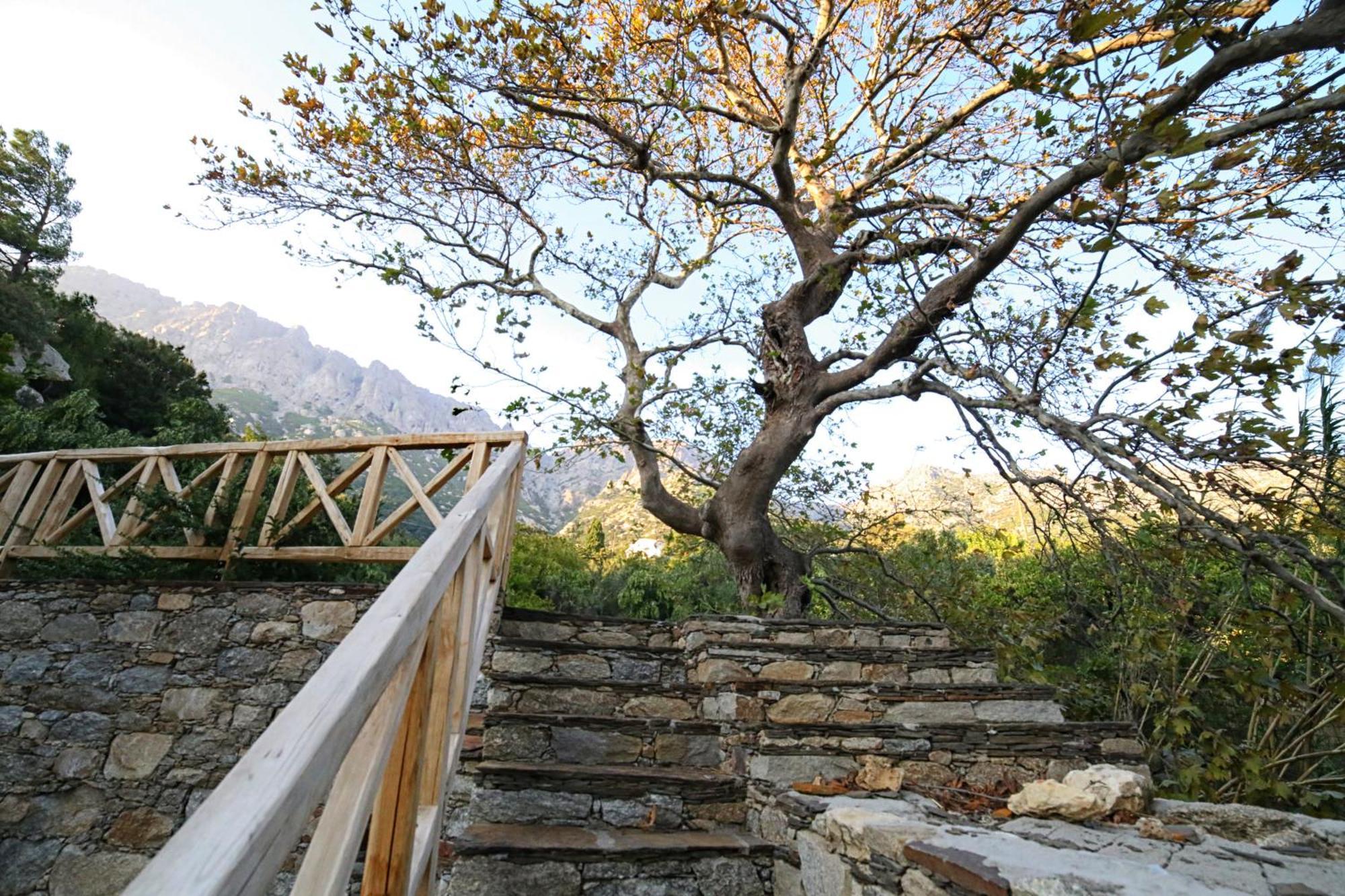 Ικαριων Γη Manganítis Exterior foto